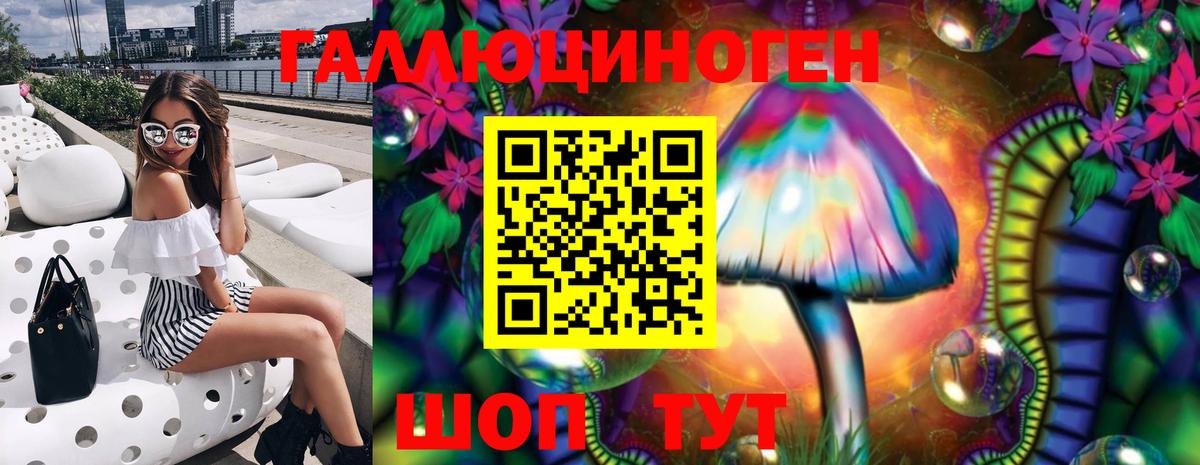 Губкинский  Псилоцибиновые грибы Cubensis  Вход с VPN 