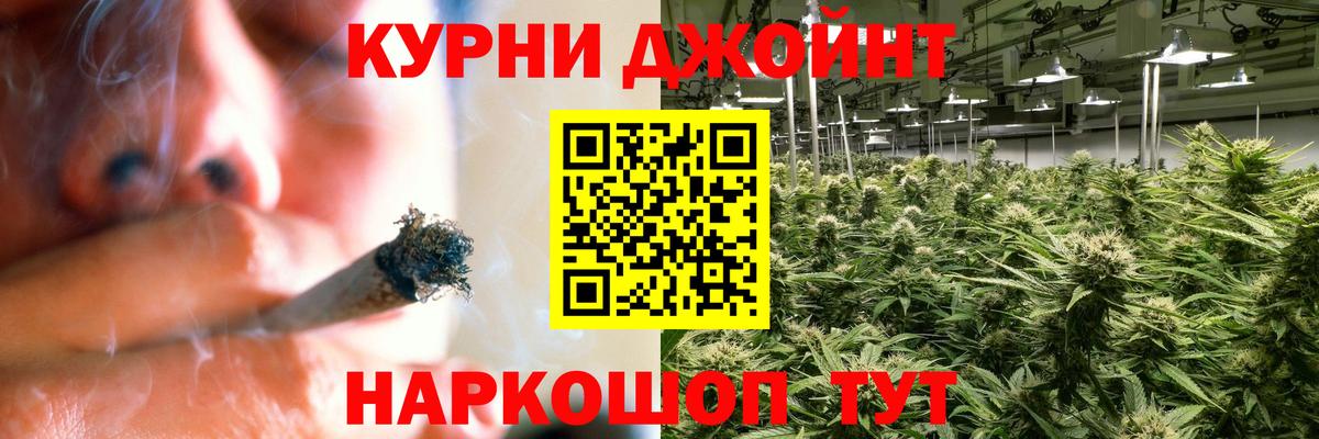 Каннабис семена  Вход с VPN  Губкинский  Каннабис SATIVA & INDICA  Конопля Ganja 